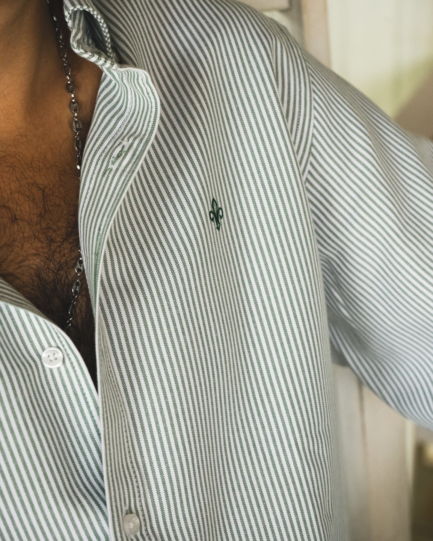 CAMISA OXFORD RAYAS VERDES