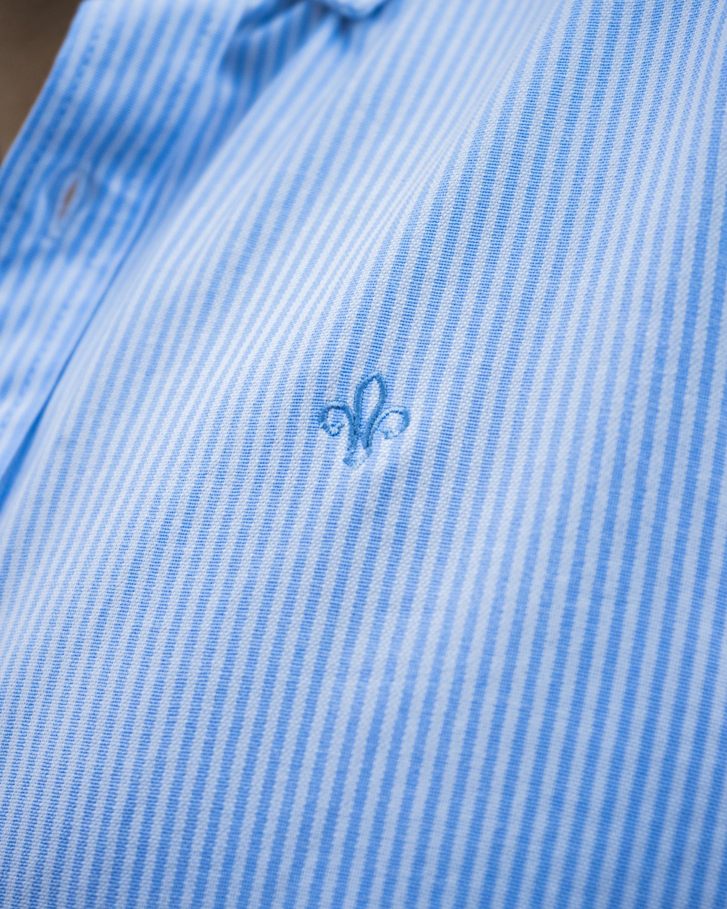 CAMISA  OXFORD RAYAS CELESTE